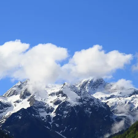 Panoramic